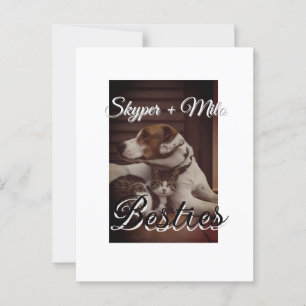 Postal Mascotas amigos bestias agregar nombre mascota fot