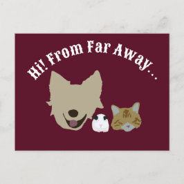 Postal Mascotas Comprobando