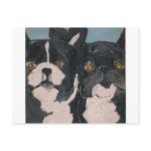 mascotas de eric ginsburg