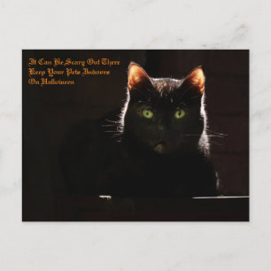 Postal Mascotas de Halloween