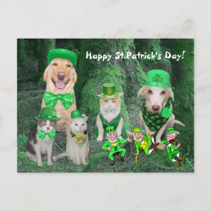 Postal Mascotas divertidos y Leprechauns