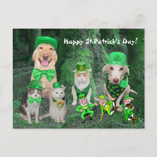 Postal Mascotas divertidos y Leprechauns (Anverso)