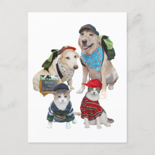 Postal Mascotas personalizable