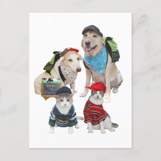 Postal Mascotas personalizable