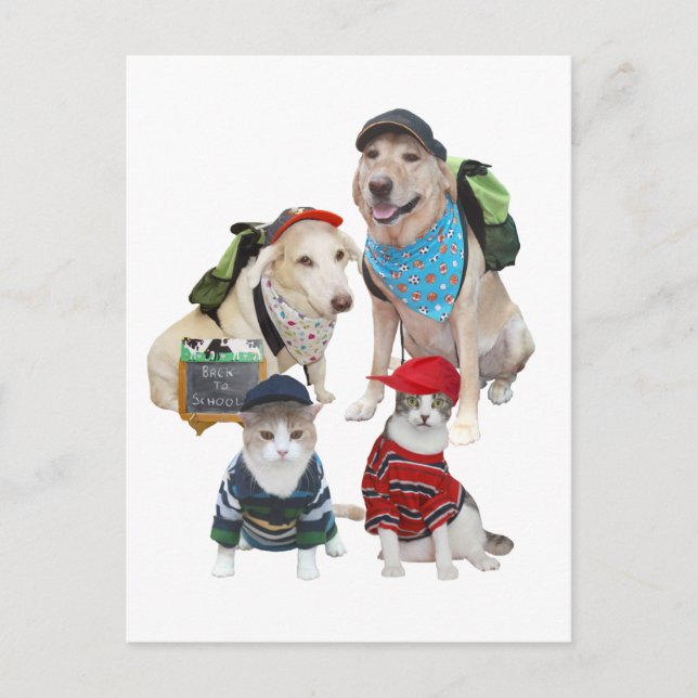 Postal Mascotas personalizable (Anverso)