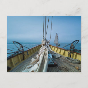 Postal Massachusetts, Gloucester, Festival de Schooner 3