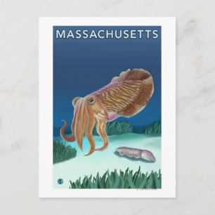Postal MassachusettsCuttlefish Scene