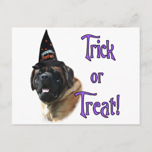 Postal Mastiff (albaricoque) Trick