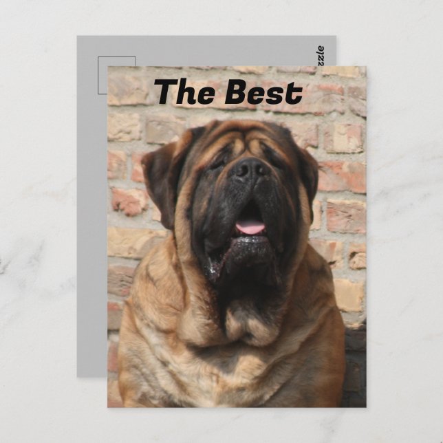Postal  Mastiff englische Dogge Vatertag  (Anverso / Reverso)