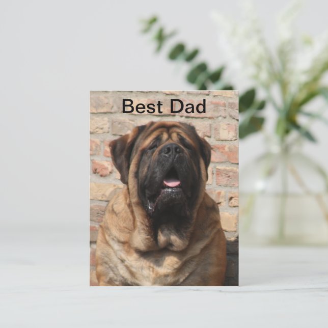 Postal  Mastiff englische Dogge Vatertag  (Anverso de pie)