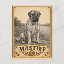 Mastín, perro de herencia vintage