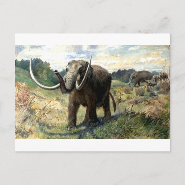 Postal mastodonte-1 (Anverso)