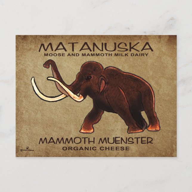 Postal Matanuska Mammoth Muenster Cheese (Anverso)