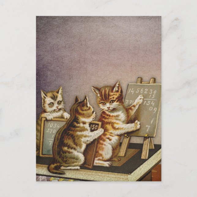 Postal Matemática de gato (Anverso)