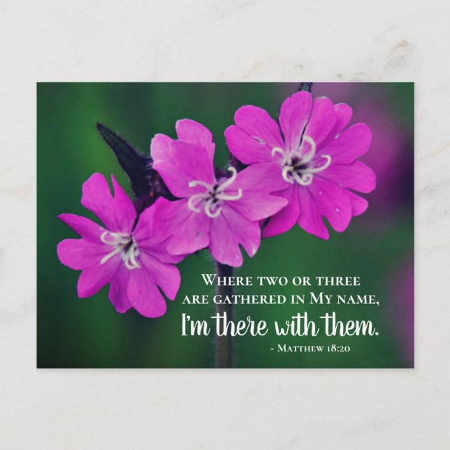 Postal Mateo 18:20 Dos o tres juntas en mi nombre (Anverso)