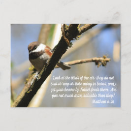 Postal Mateo 6:26 Aves Escritura