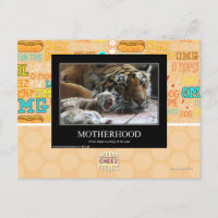Maternidad