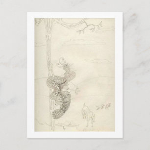 Postal Matilda El Glorioso Ave Del Paraíso