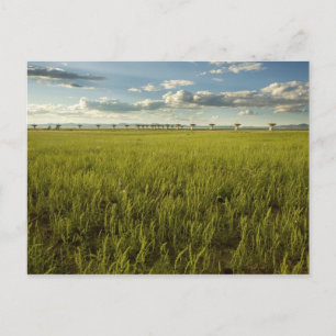 Postal Matriz muy grande