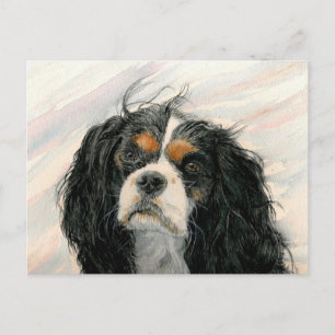 Postal Mattie el rey Charles Cavalier Spaniel