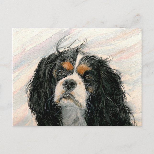 Postal Mattie el rey Charles Cavalier Spaniel (Anverso)