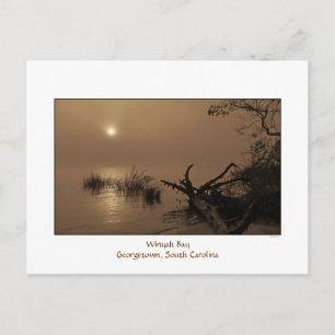 Postal matutina de Foggy Bay
