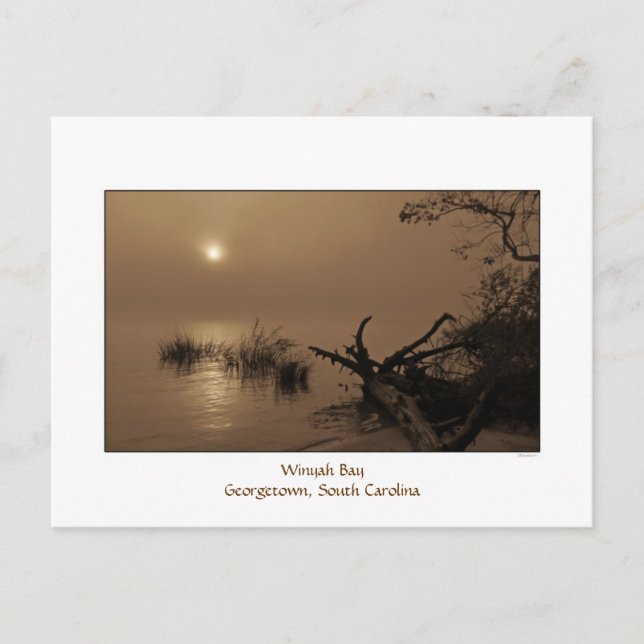 Postal matutina de Foggy Bay (Anverso)