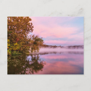 Postal matutina deliciosamente rosa