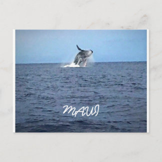 Postal Maui