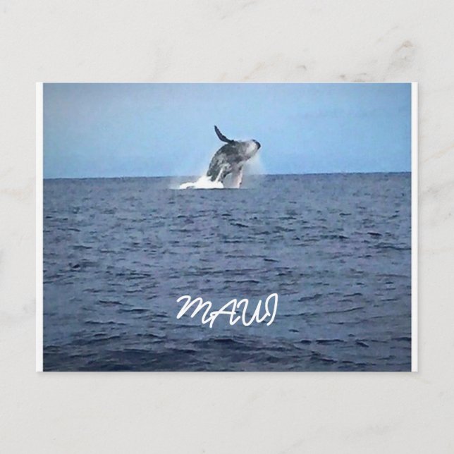 Postal Maui (Anverso)
