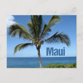 Postal Maui Hawaii Palm Tree Scenic