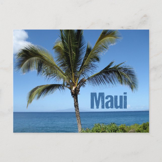 Postal Maui Hawaii Palm Tree Scenic (Anverso)