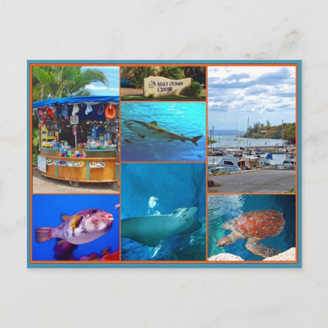 Postal Maui Ocean Center (Anverso)