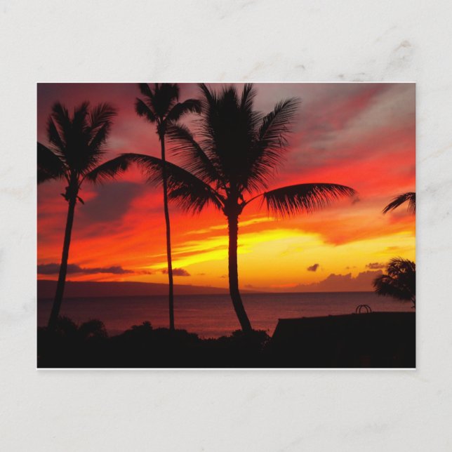 POSTAL MAUI SUNSET 2 (Anverso)