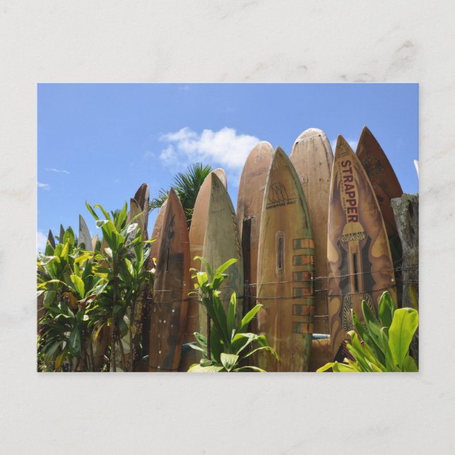 Postal Maui Surfboard (Anverso)