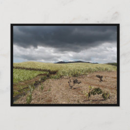 Postal Mauricio / Maurice