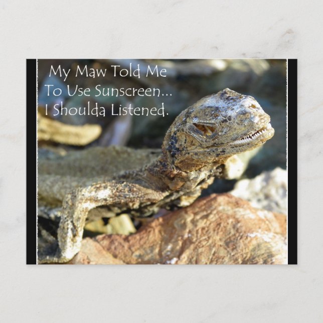 Postal "Maw Lo Sabe Mejor" (Anverso)