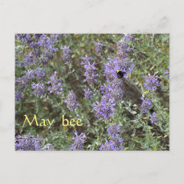 Postal May Bee