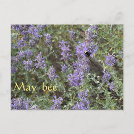 Postal May bee