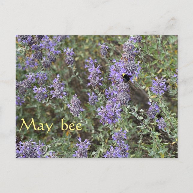 Postal May bee (Anverso)