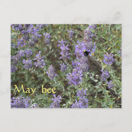 Postal May bee