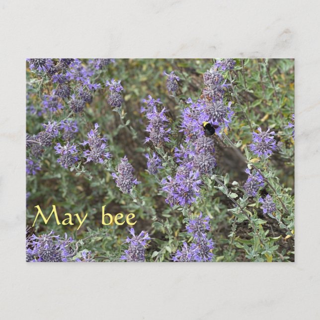 Postal May bee (Anverso)