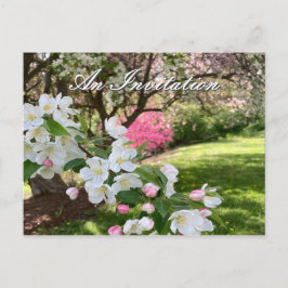 Postal May Flowers Pink Invitation Postcard