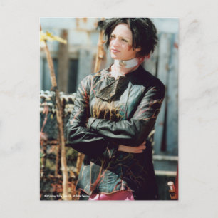 Postal May The Tribe