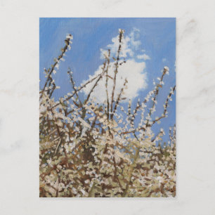 Postal Mayflower 2012