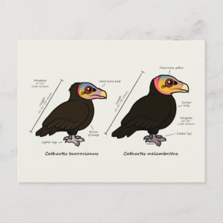 Postal Mayor/menor de cabeza amarilla
