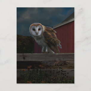 Postal "McHoots the Watch Owl"