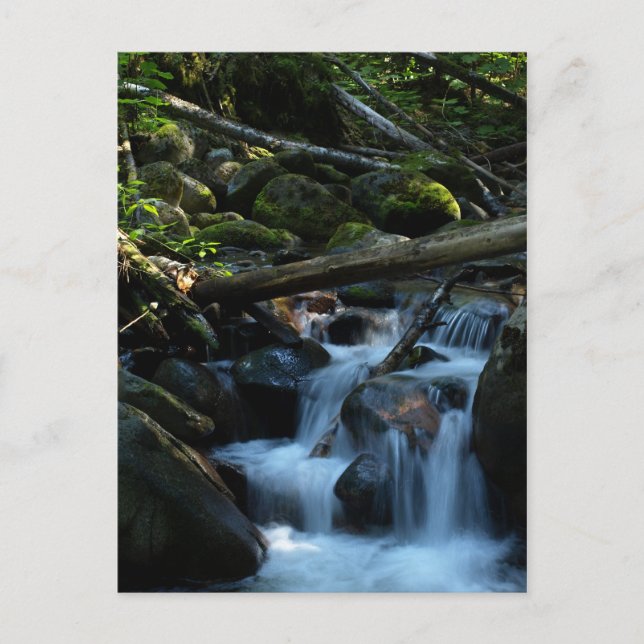 Postal McPhee Creek, Castlegar, Columbia Británica (Anverso)