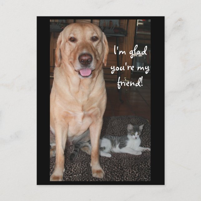 Postal ¡Me alegra que seas mi amigo! (Anverso)