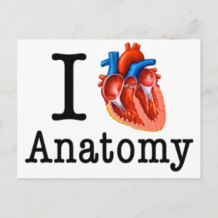 Postal Me encanta la anatomía